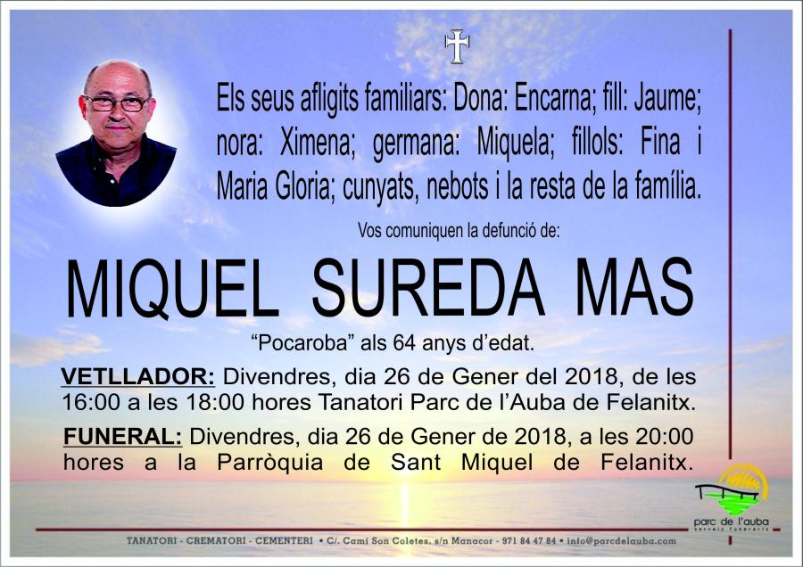 MIQUEL SUREDA MAS