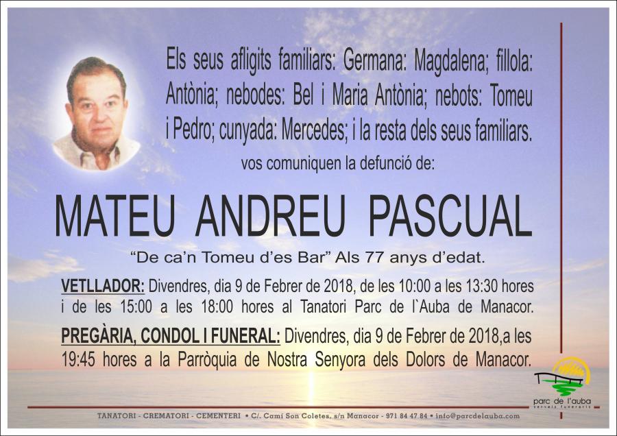 MATEU ANDREU PASCUAL