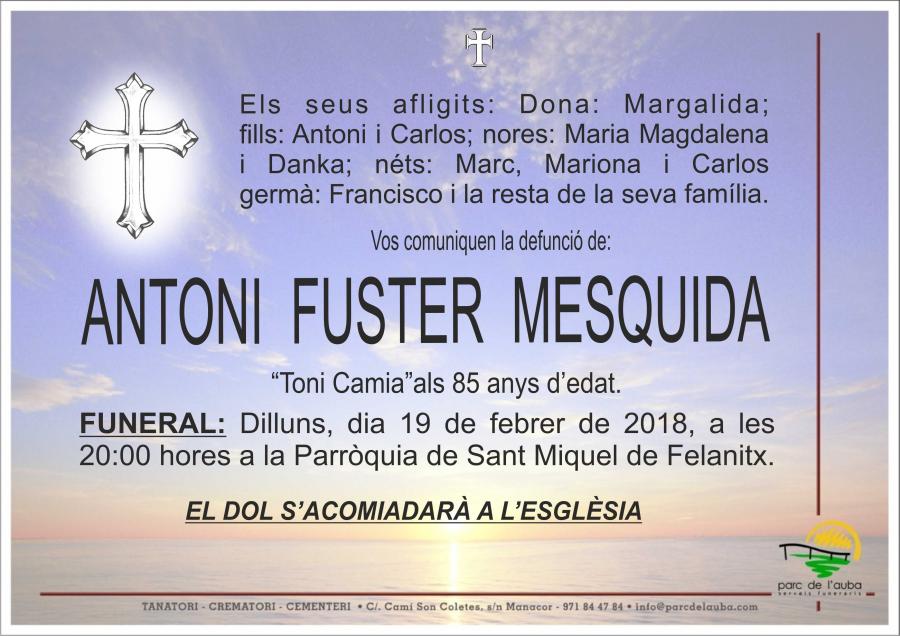 ANTONI FUSTER MESQUIDA