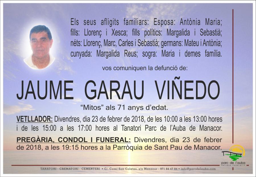 JAUME GARAU VIÑEDO