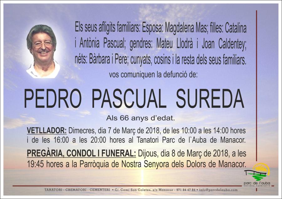 PEDRO PASCUAL SUREDA