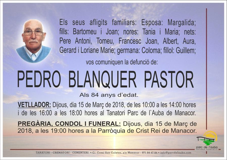 PEDRO BLANQUER PASTOR