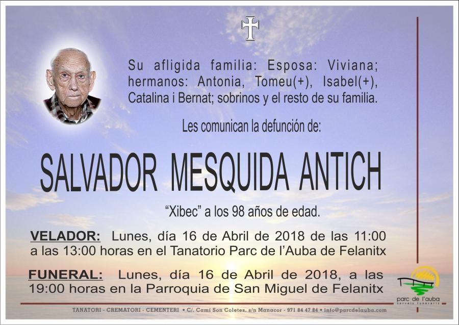 SALVADOR MESQUIDA ANTICH