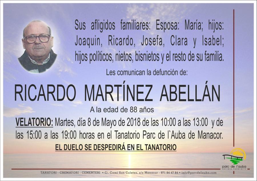 RICARDO MARTÍNEZ ABELLÁN