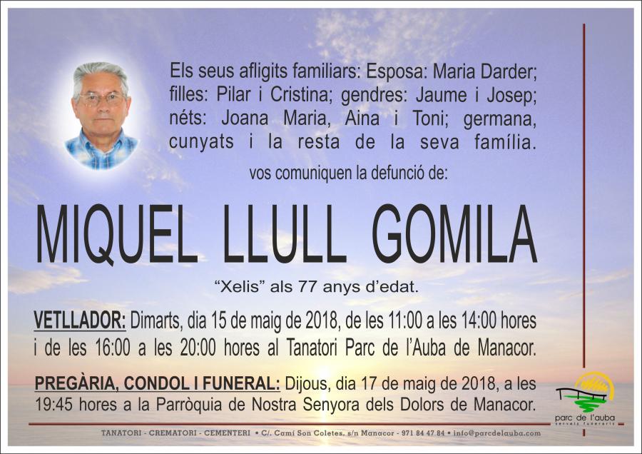 MIQUEL LLULL GOMILA