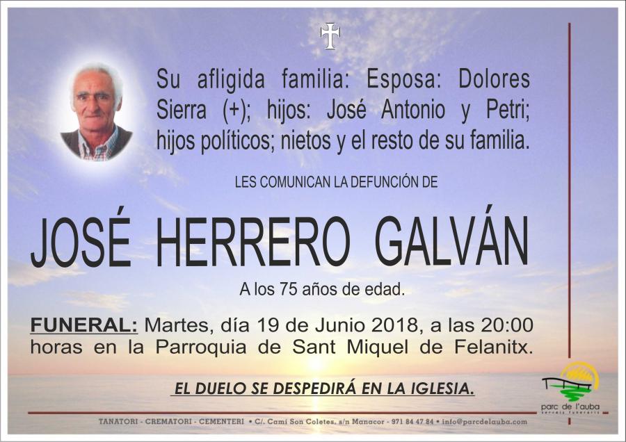 JOSÉ HERRERO GALVÁN