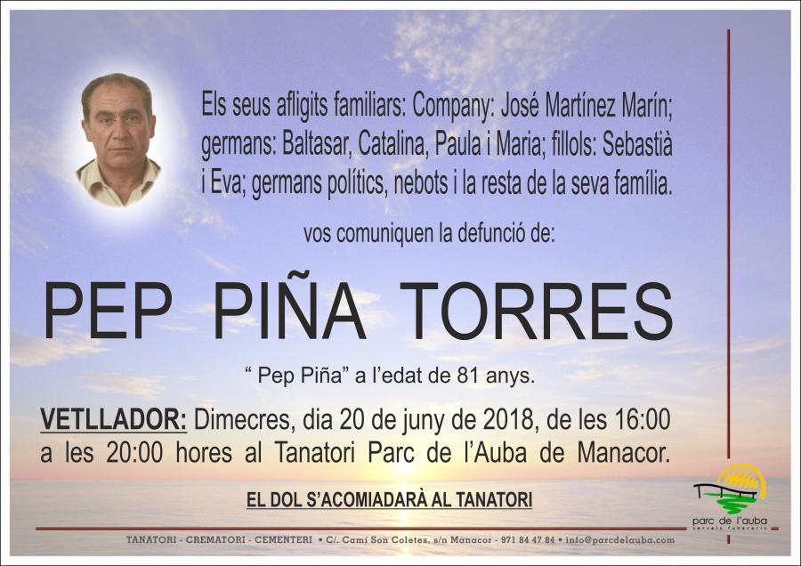 PEP PIÑA TORRES