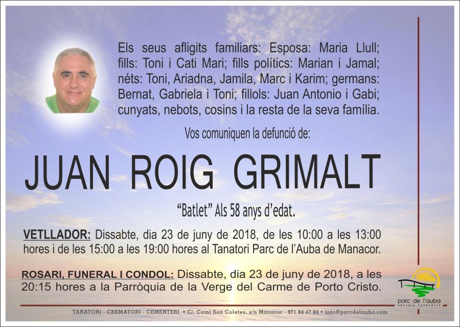 JUAN ROIG GRIMALT