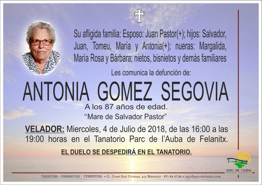 ANTONIA GOMEZ SEGOVIA