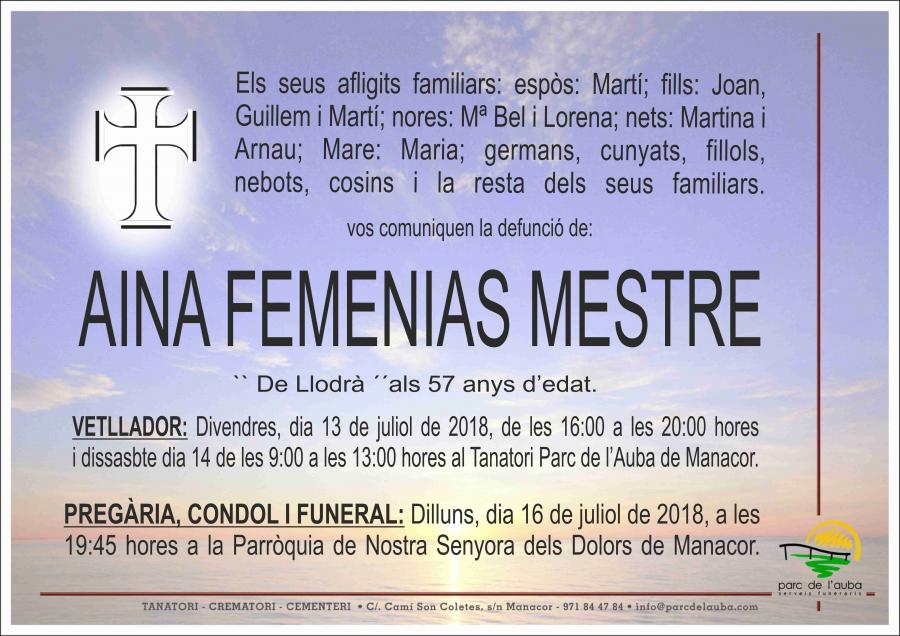 AINA FEMENIAS MESTRE