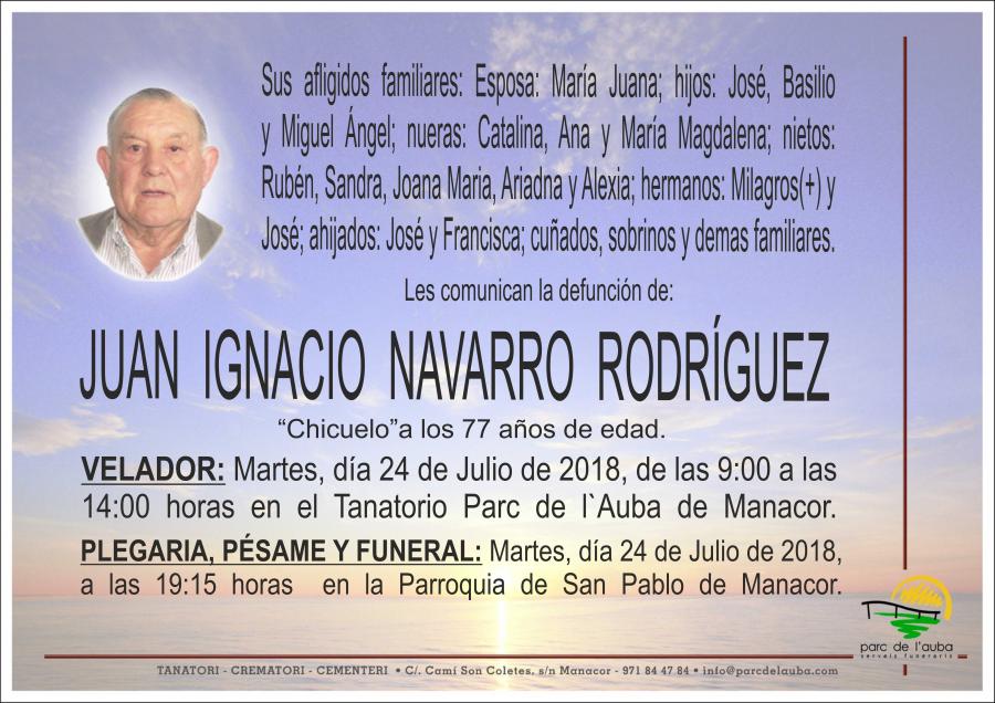 JUAN IGNACIO NAVARRO RODRÍGUEZ