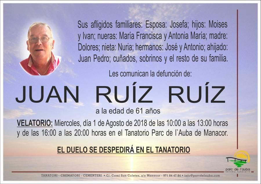 JUAN RUÍZ RUÍZ