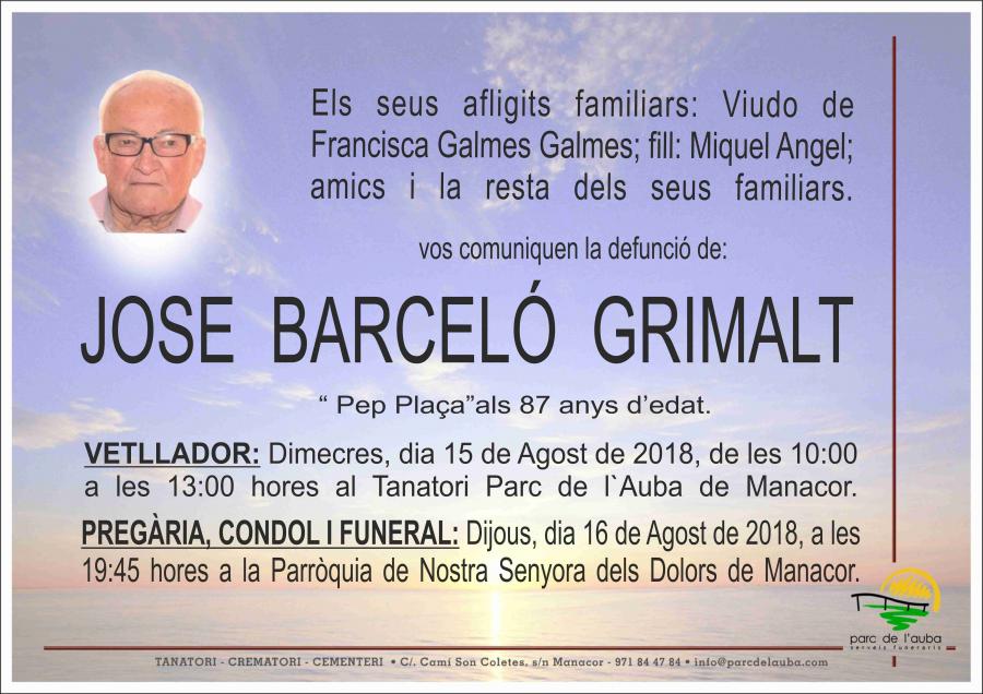 JOSE BARCELÓ GRIMALT