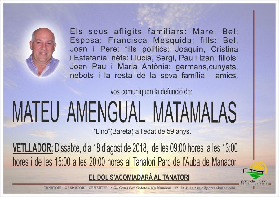 MATEU AMENGUAL MATAMALAS