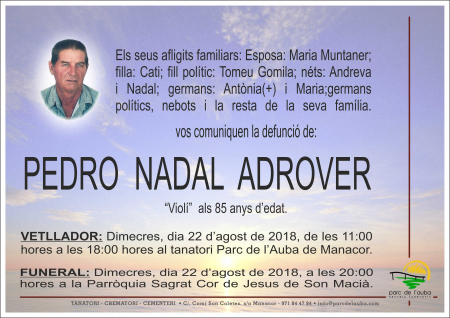 PEDRO NADAL ADROVER