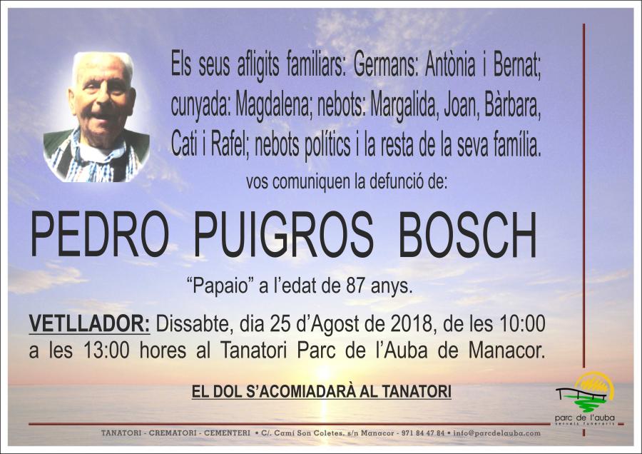PEDRO PUIGROS BOSCH