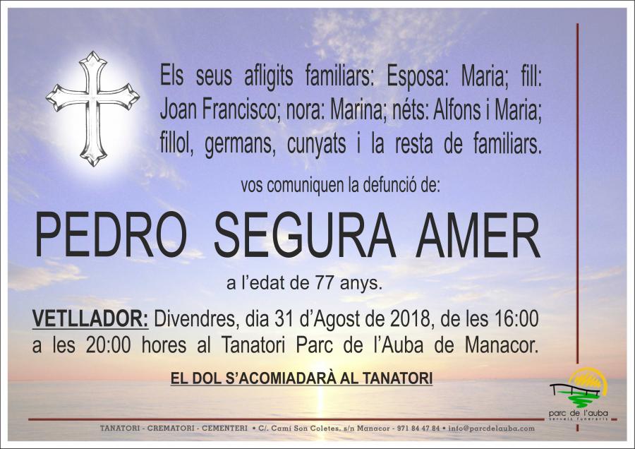 PEDRO SEGURA AMER