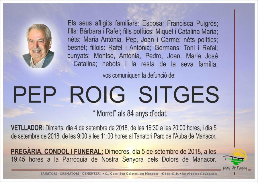 PEP ROIG SITGES