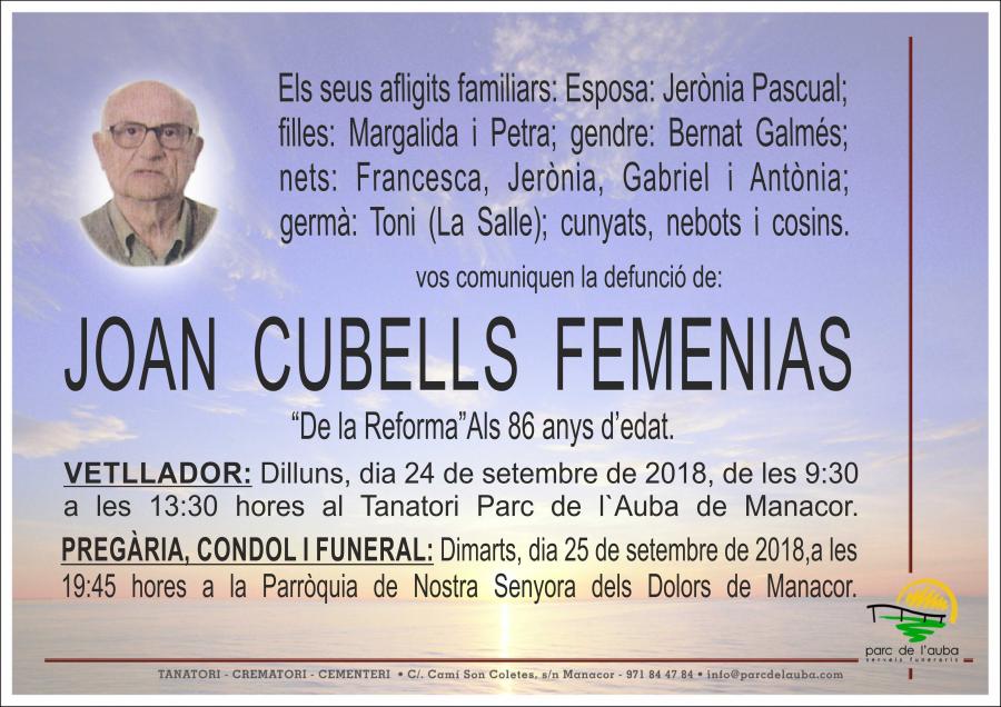 JOAN CUBELLS FEMENIAS
