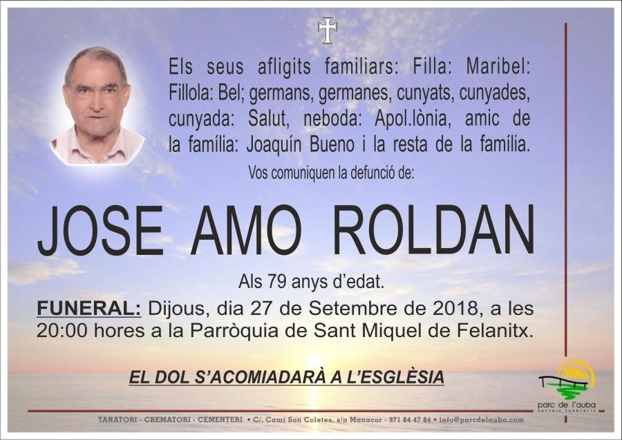 JOSE AMO ROLDAN