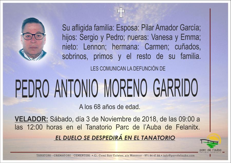 PEDRO ANTONIO MORENO GARRIDO