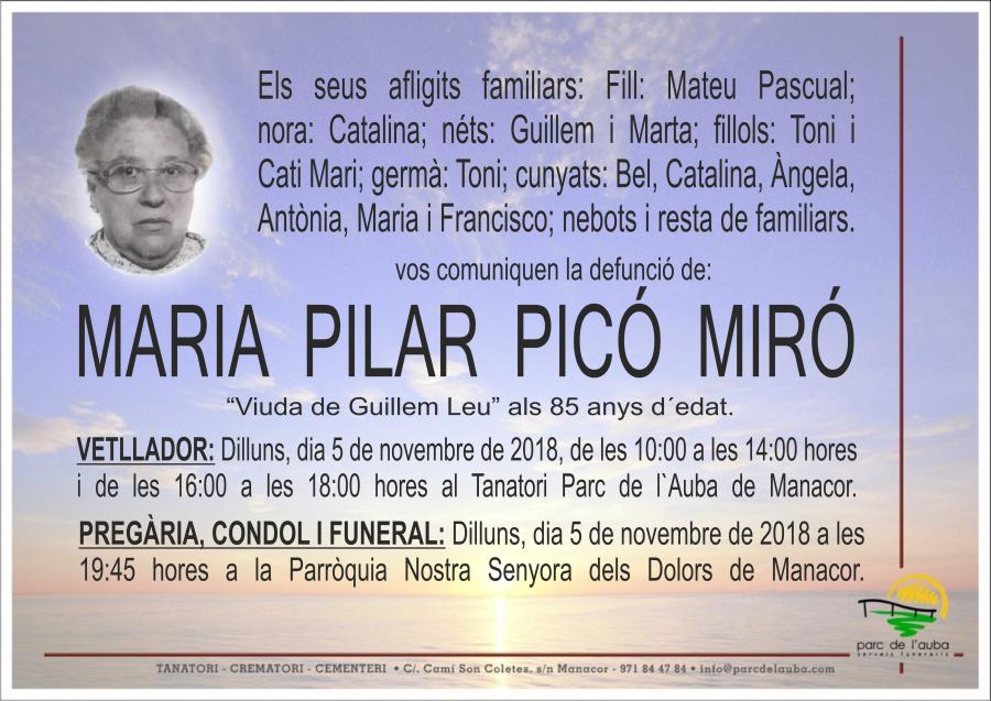 MARIA PILAR PICÓ MIRÓ