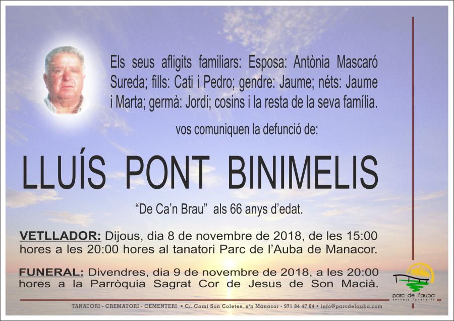 LLUÍS PONT BINIMELIS