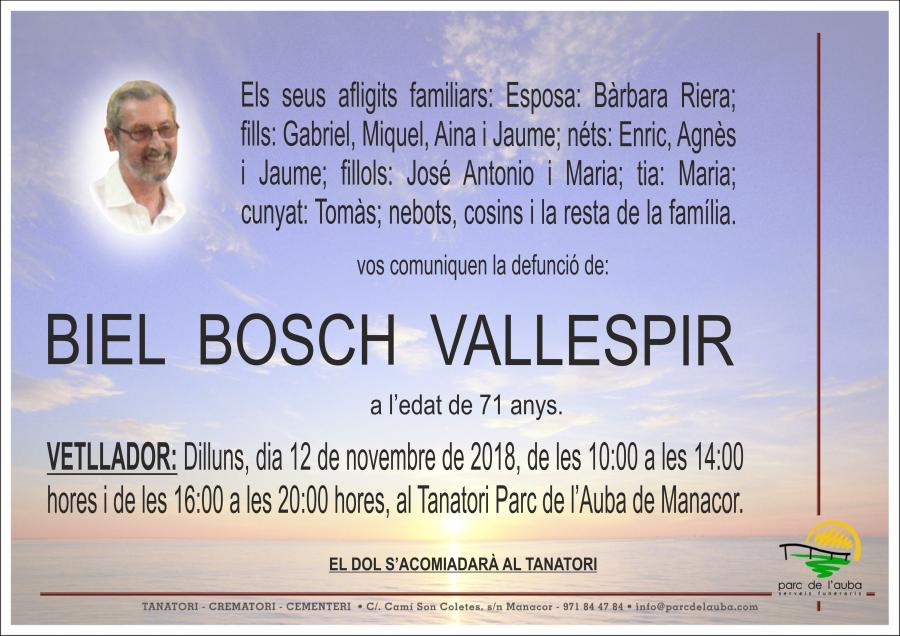 BIEL BOSCH VALLESPIR