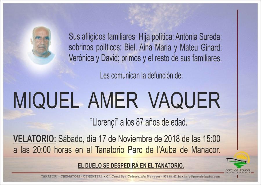 MIQUEL AMER VAQUER