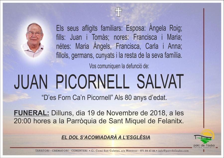 JUAN PICORNELL SALVAT