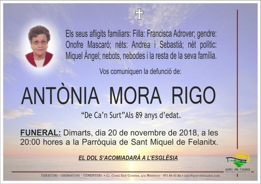 ANTÃ'NIA MORA RIGO