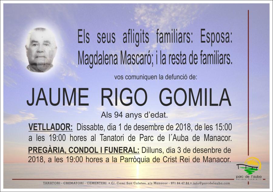 JAUME RIGO GOMILA
