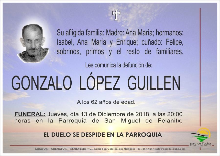 GONZALO LÓPEZ GUILLEN