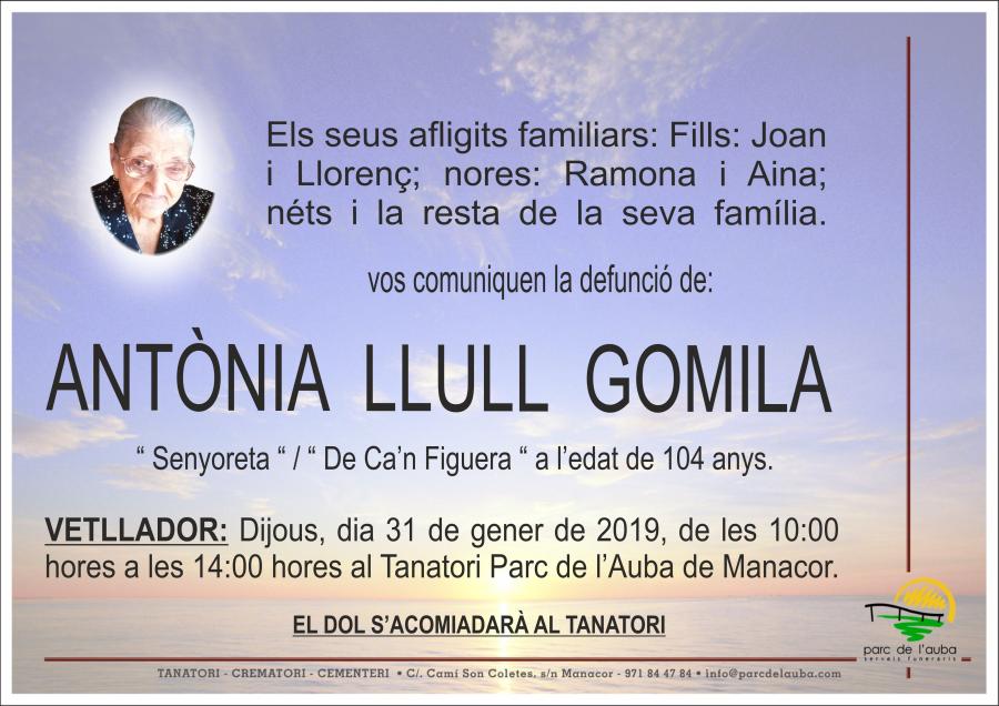 ANTÃ'NIA LLULL GOMILA