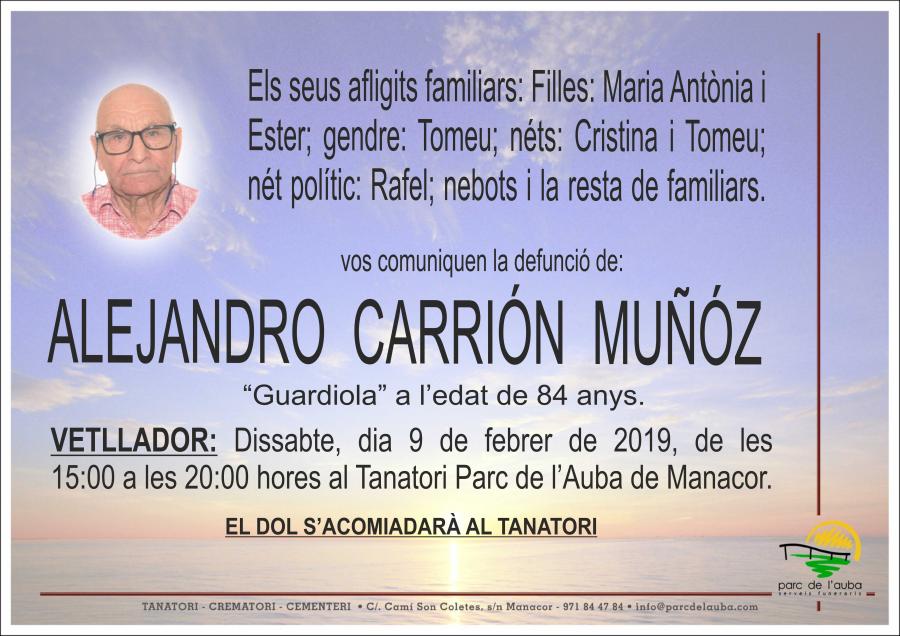 ALEJANDRO CARRIÓN MUÑÓZ