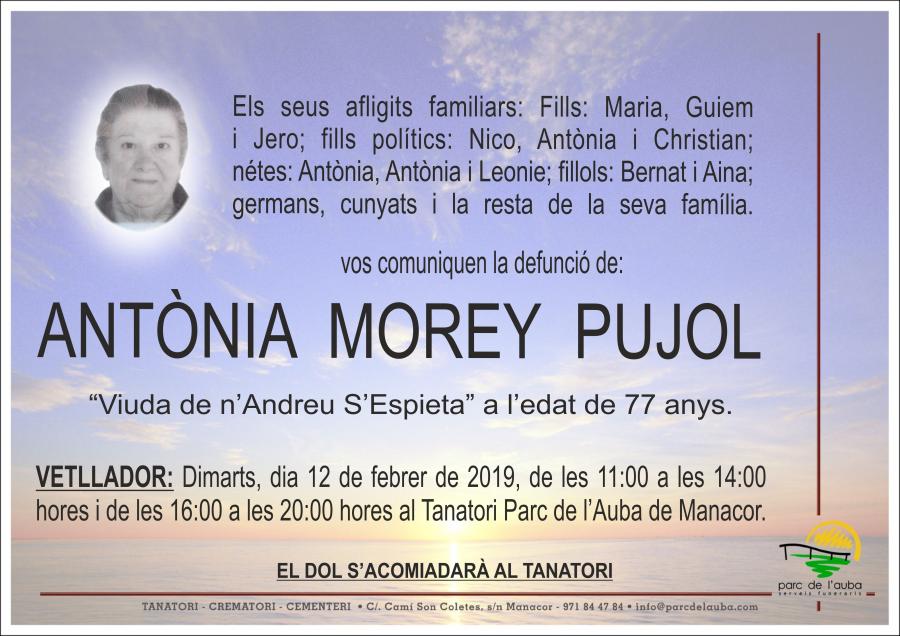 ANTÃ'NIA MOREY PUJOL