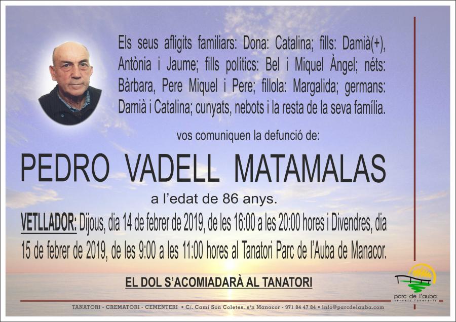 PEDRO VADELL MATAMALAS