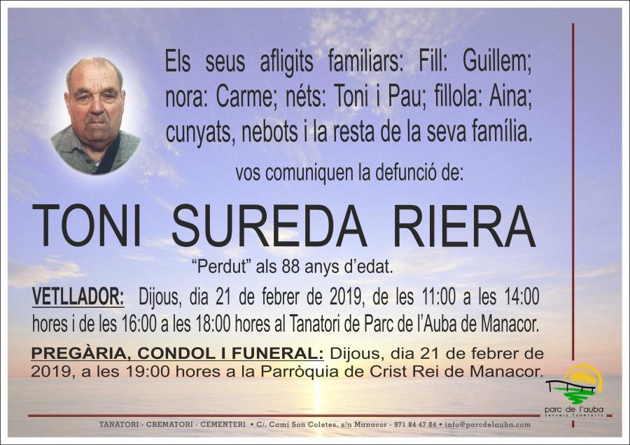TONI SUREDA RIERA