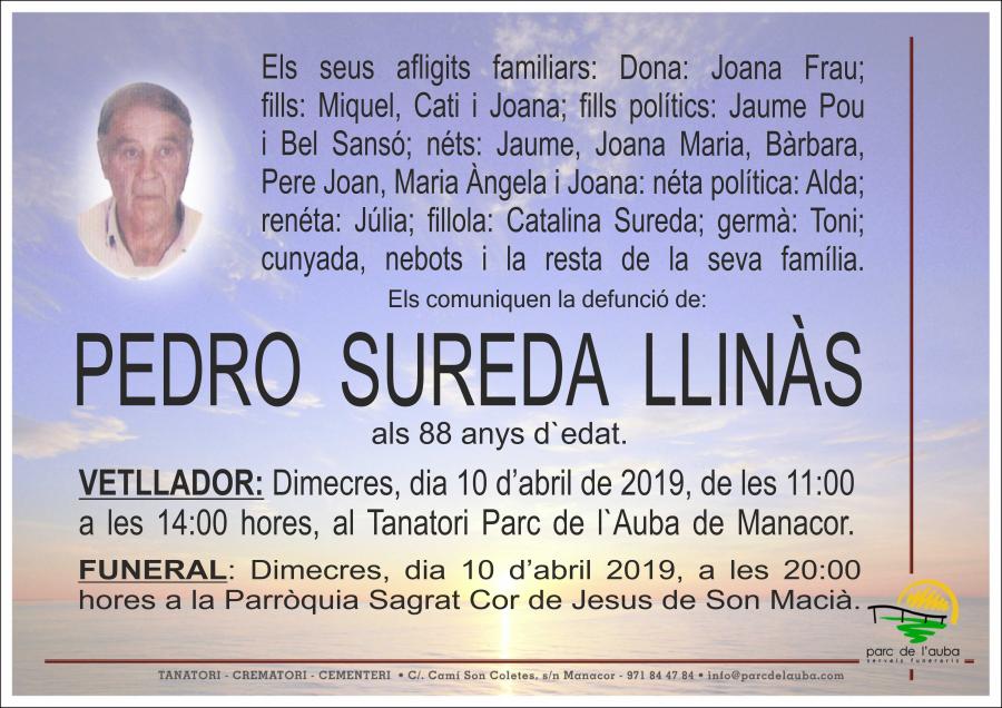 PEDRO SUREDA  LLINÀS