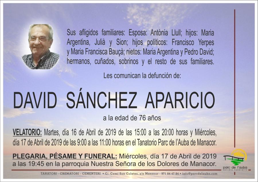 DAVID SÁNCHEZ APARICIO