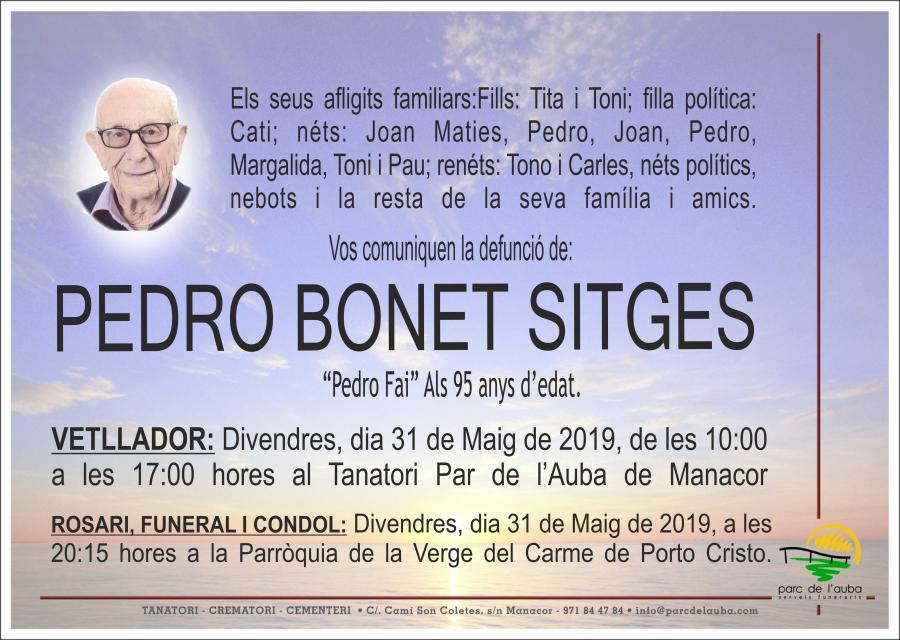 PEDRO BONET SITGES