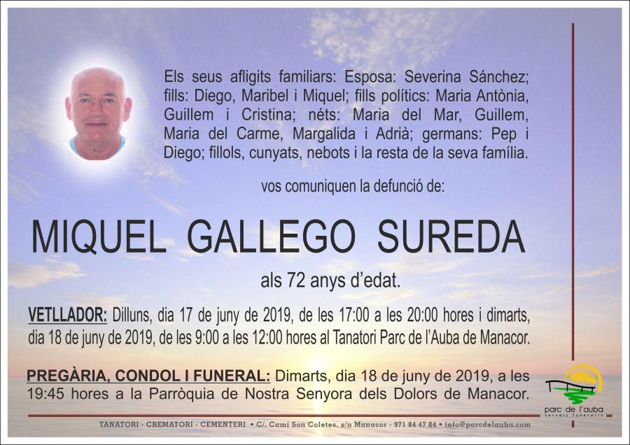 MIQUEL GALLEGO SUREDA