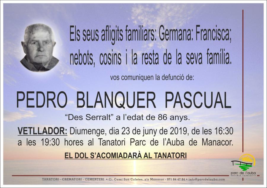 PEDRO BLANQUER PASCUAL