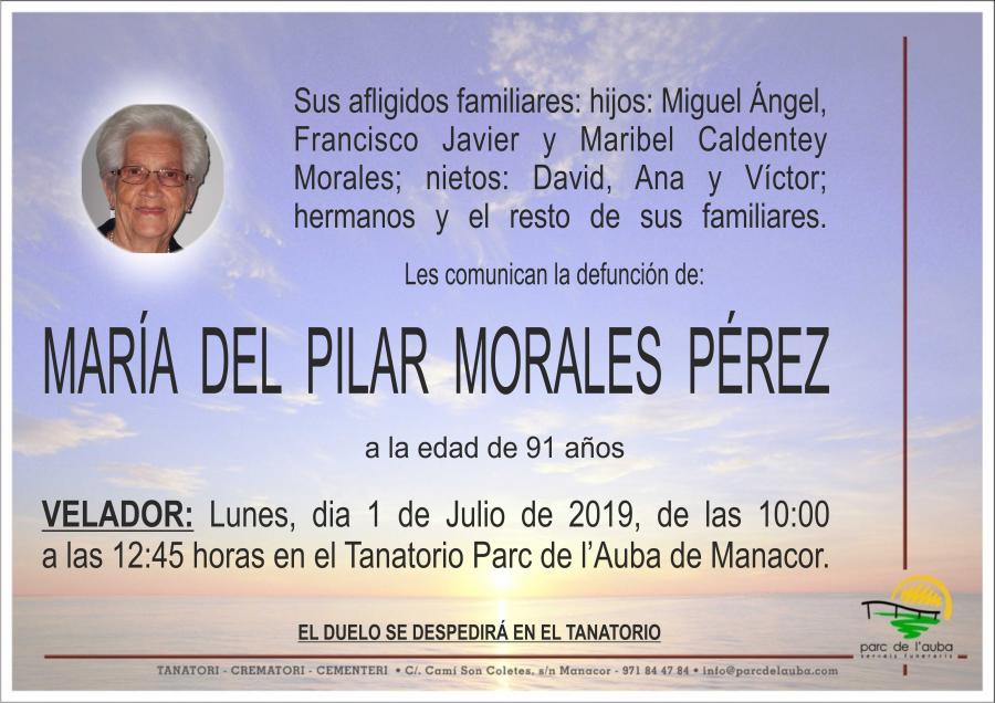 MARÍA DEL PILAR  MORALES PÉREZ