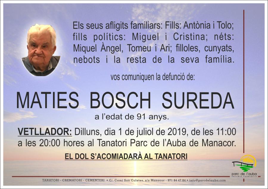 MATIES BOSCH SUREDA