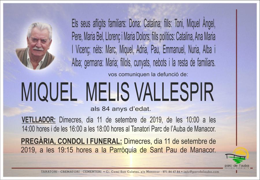 MIQUEL MELIS VALLESPIR