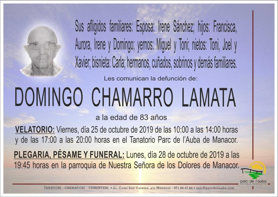 DOMINGO CHAMARRO LAMATA