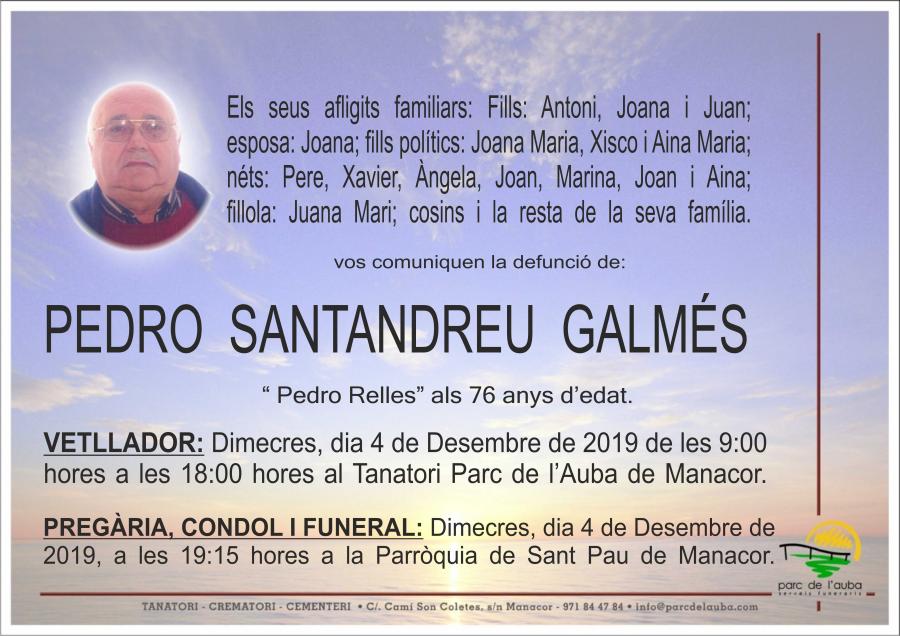 PEDRO SANTANDREU GALMÉS
