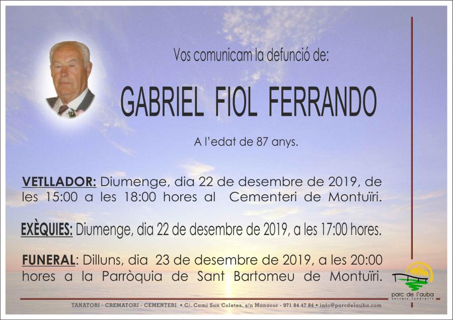 GABRIEL FIOL FERRANDO