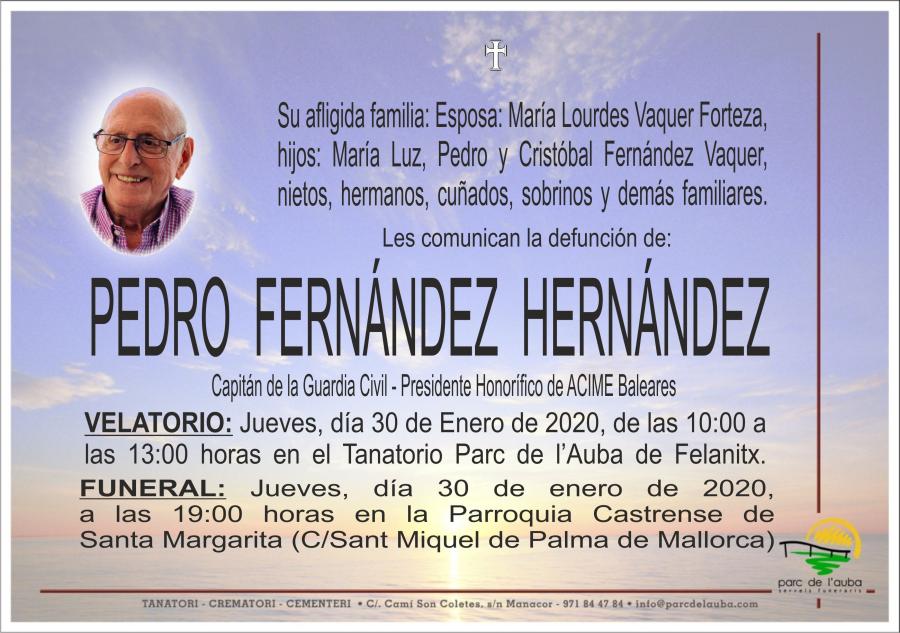 PEDRO FERNÁNDEZ HERNÁNDEZ